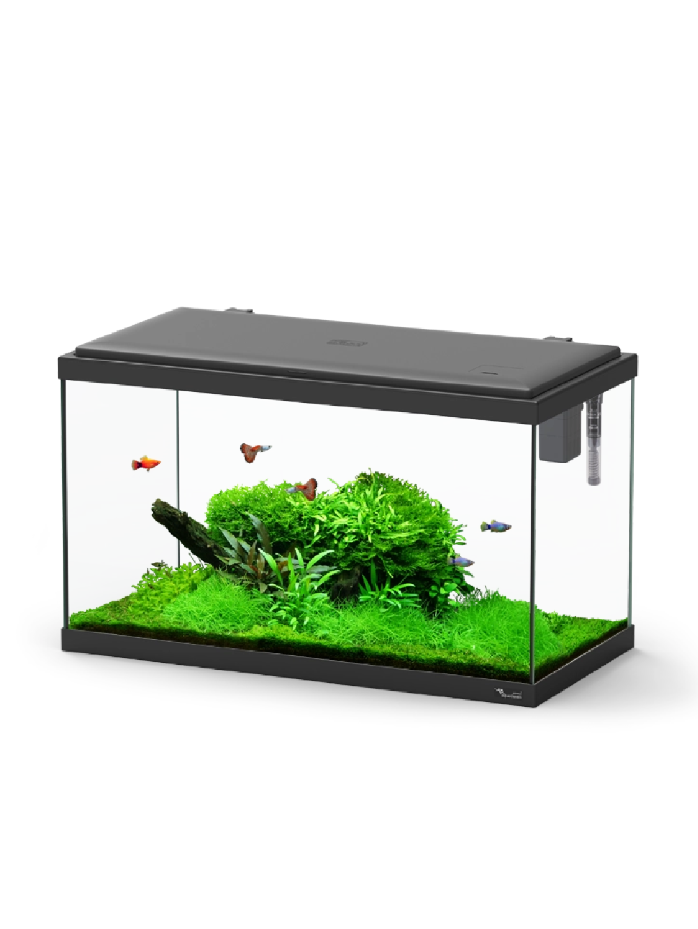 Aquario EXPLORER PARIS 60X30X34 - 58L, LED 5W e Biobox mini II
