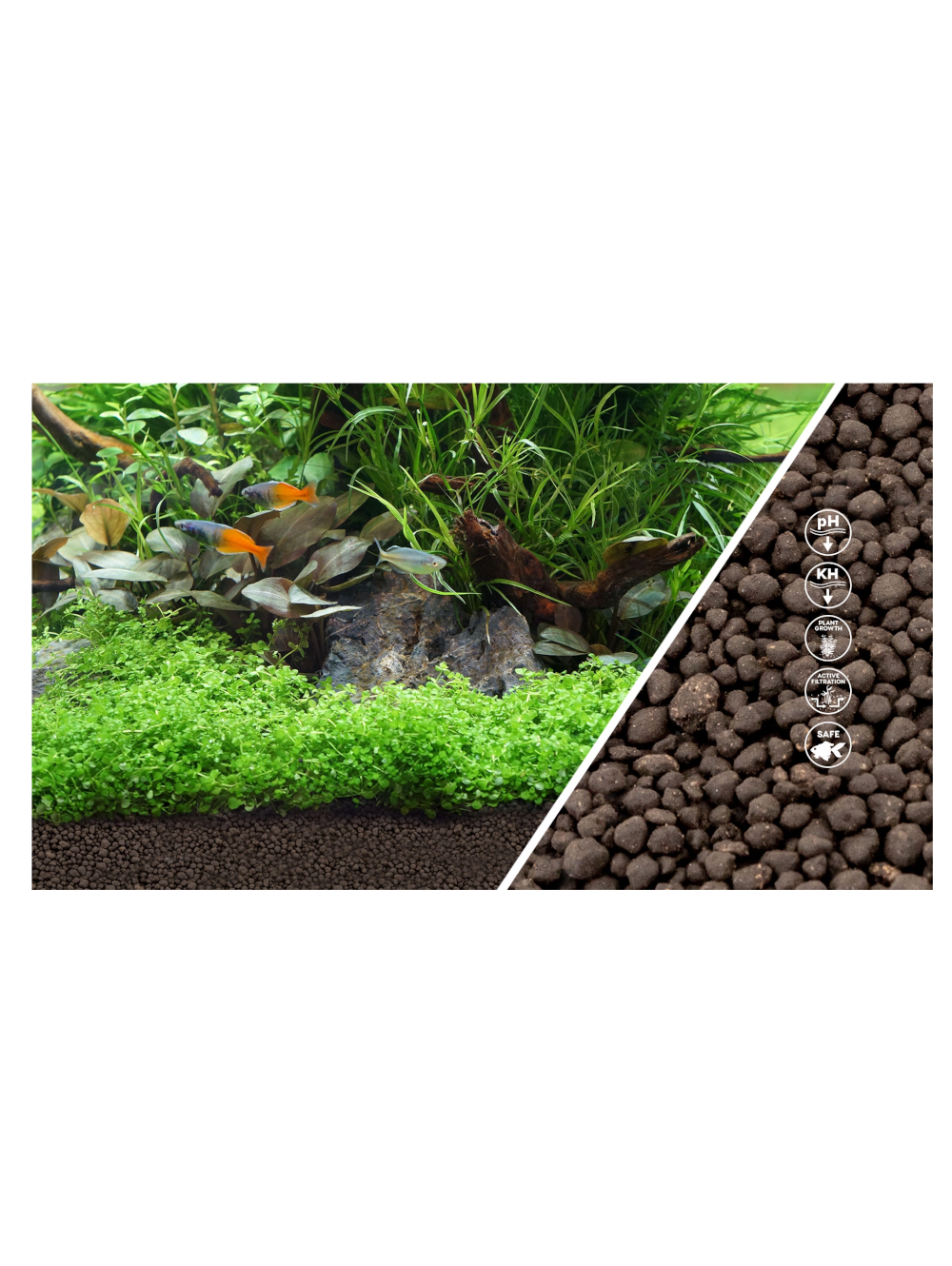 AQUATLANTIS Premium Soil Plants - Image 3