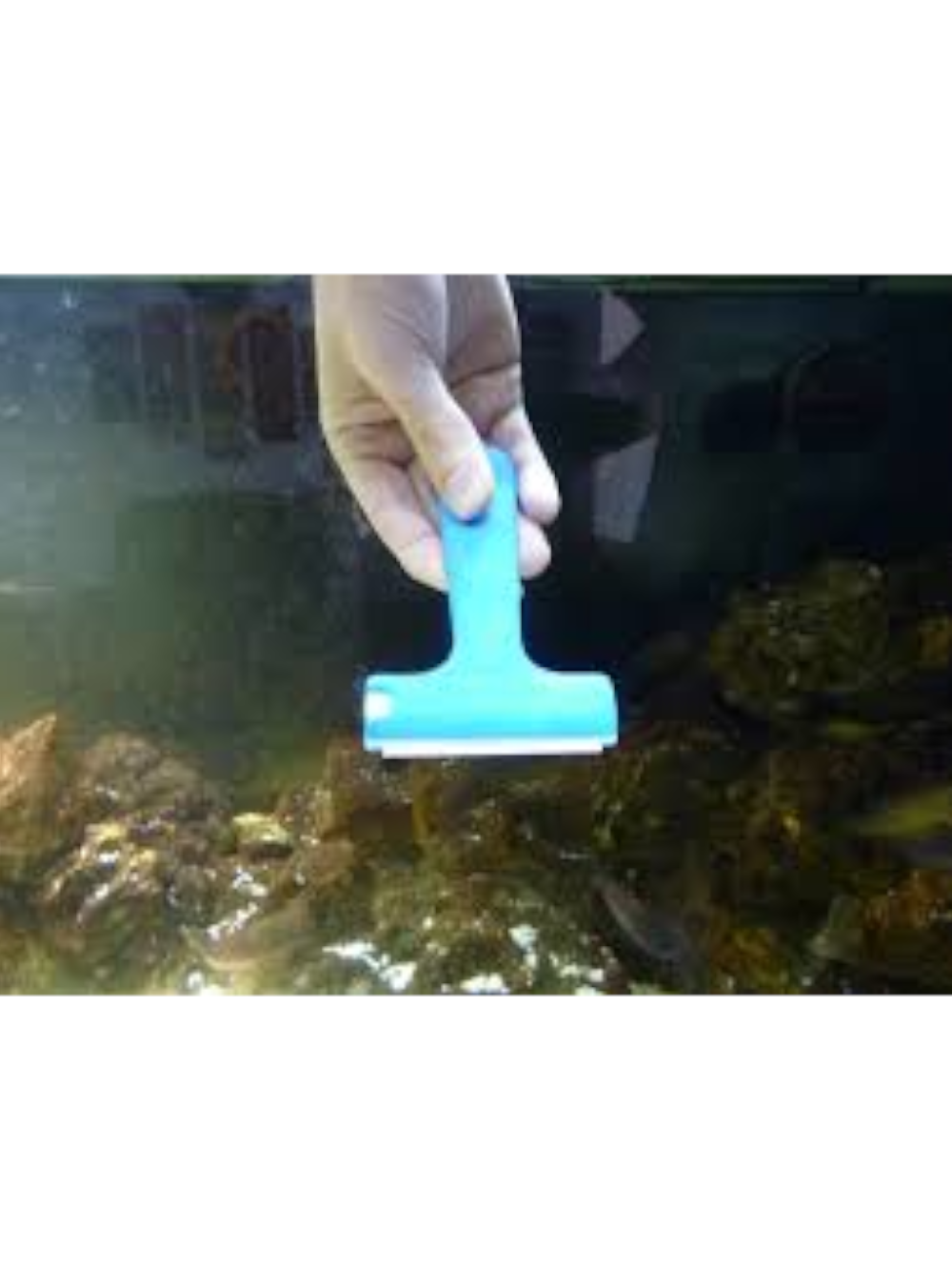 JBL Aqua-T Handy