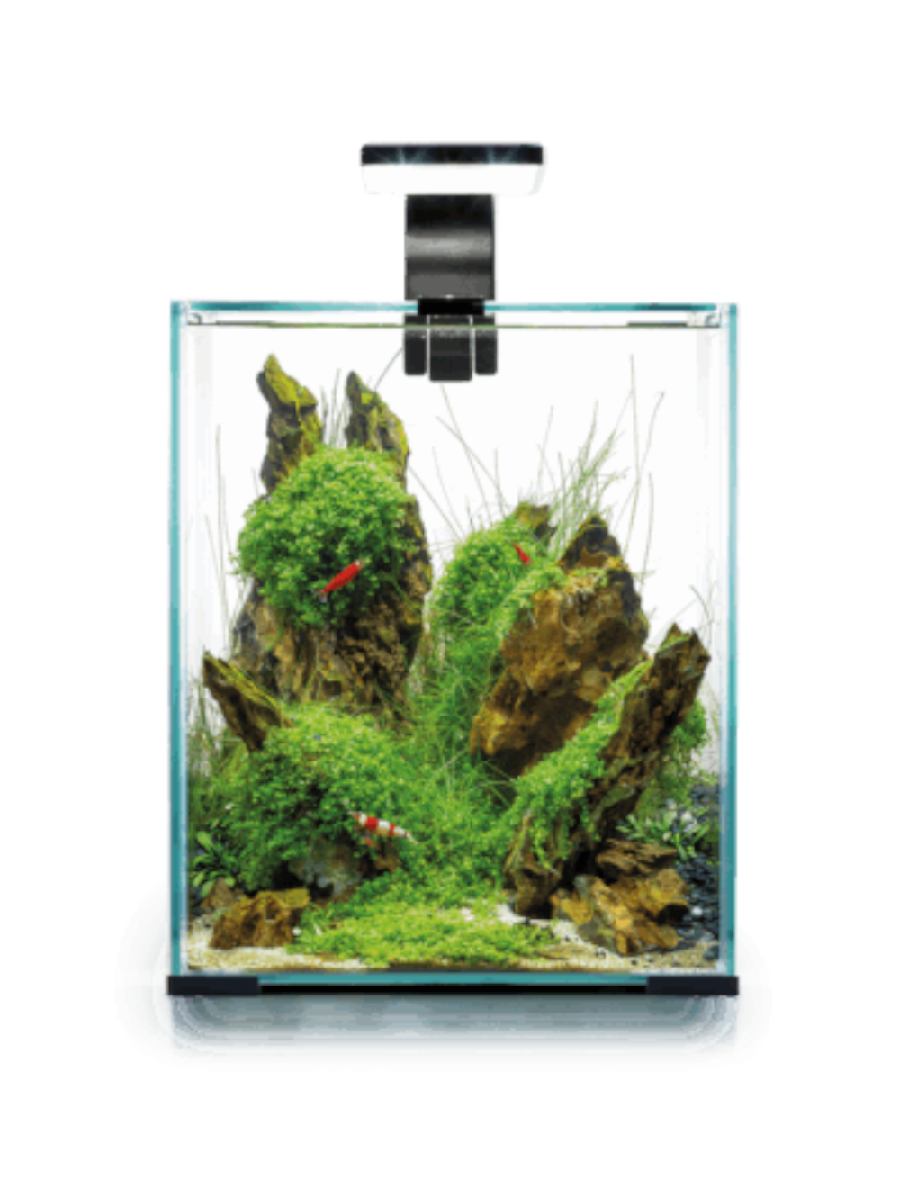 Aquario Shrimp Set Day&Night 30 Preto (29x29x35cm)