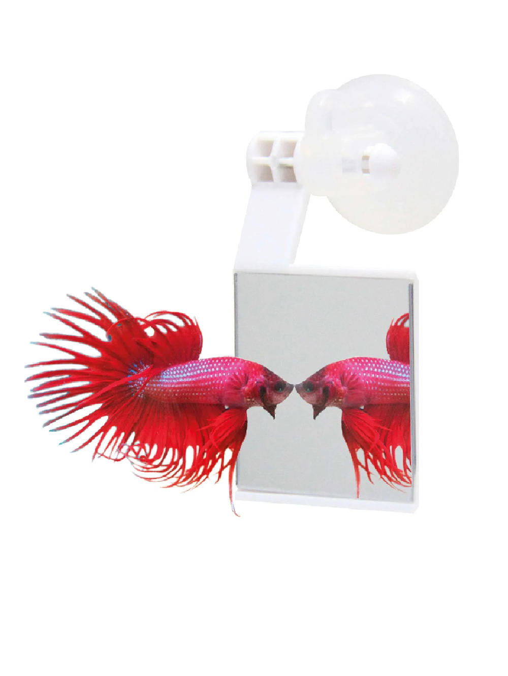 ESPELHO PARA BETTAS