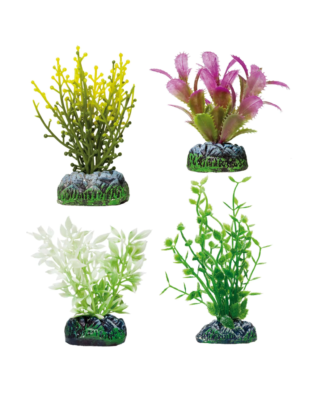 Set 4 Plantas Fucus, Alternthera, Ludwigia (verde e violeta)