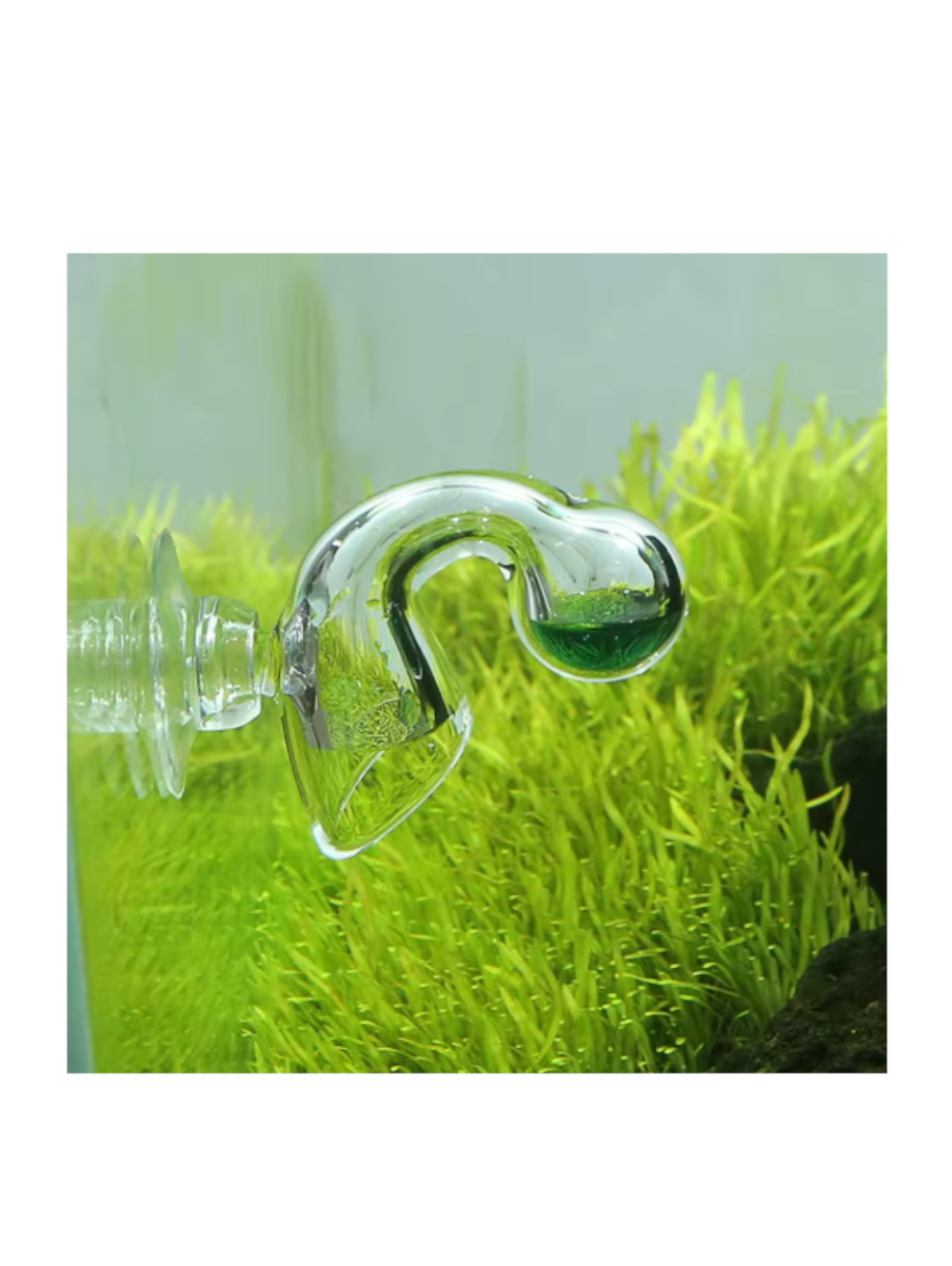 Medidor constante de CO2 em vidro Drop Checker