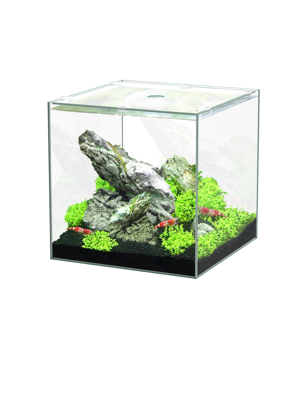 Aquario KUBUS simples