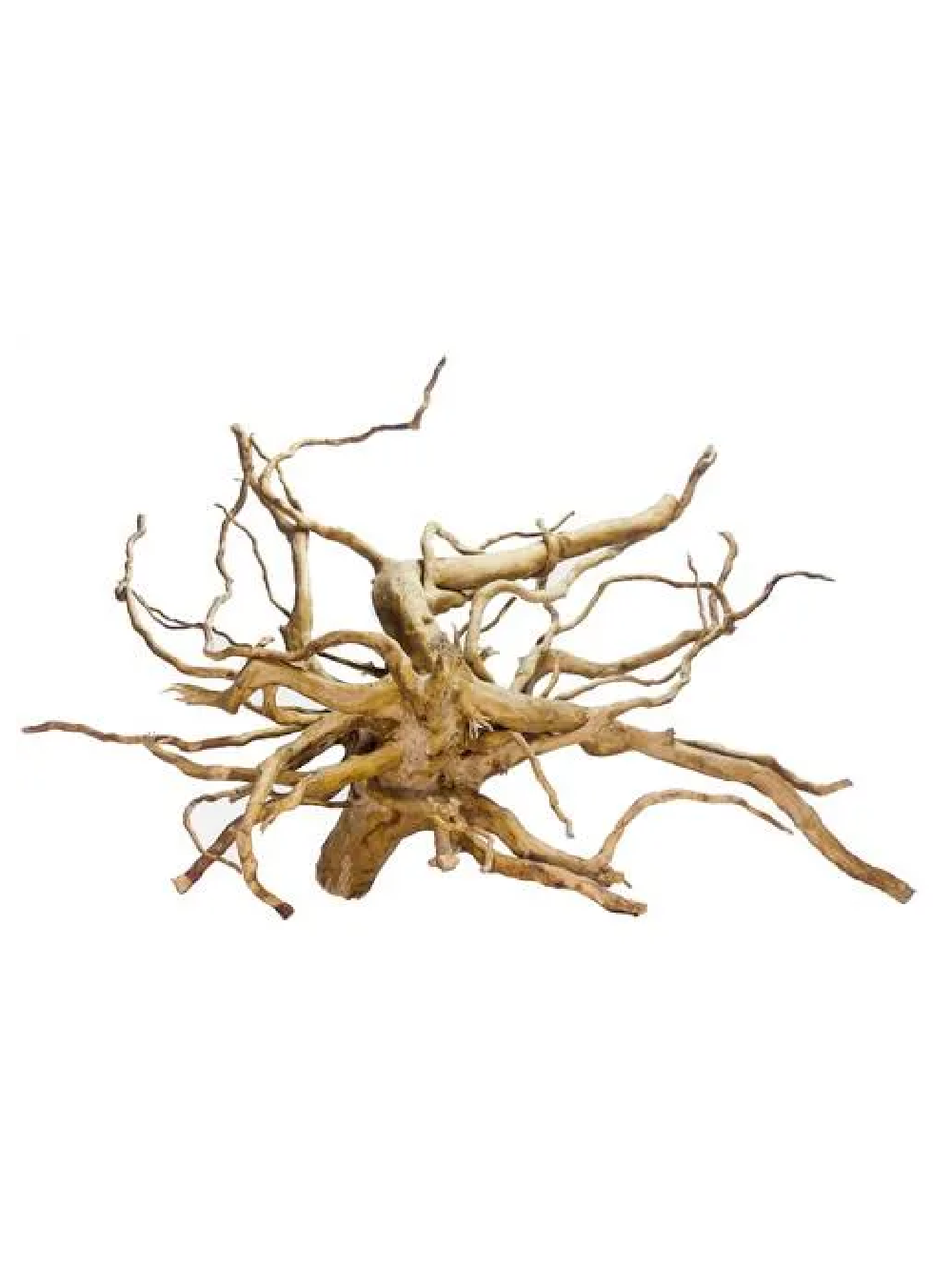 TRONCO Red Moor Wood (Preço por Gr.)