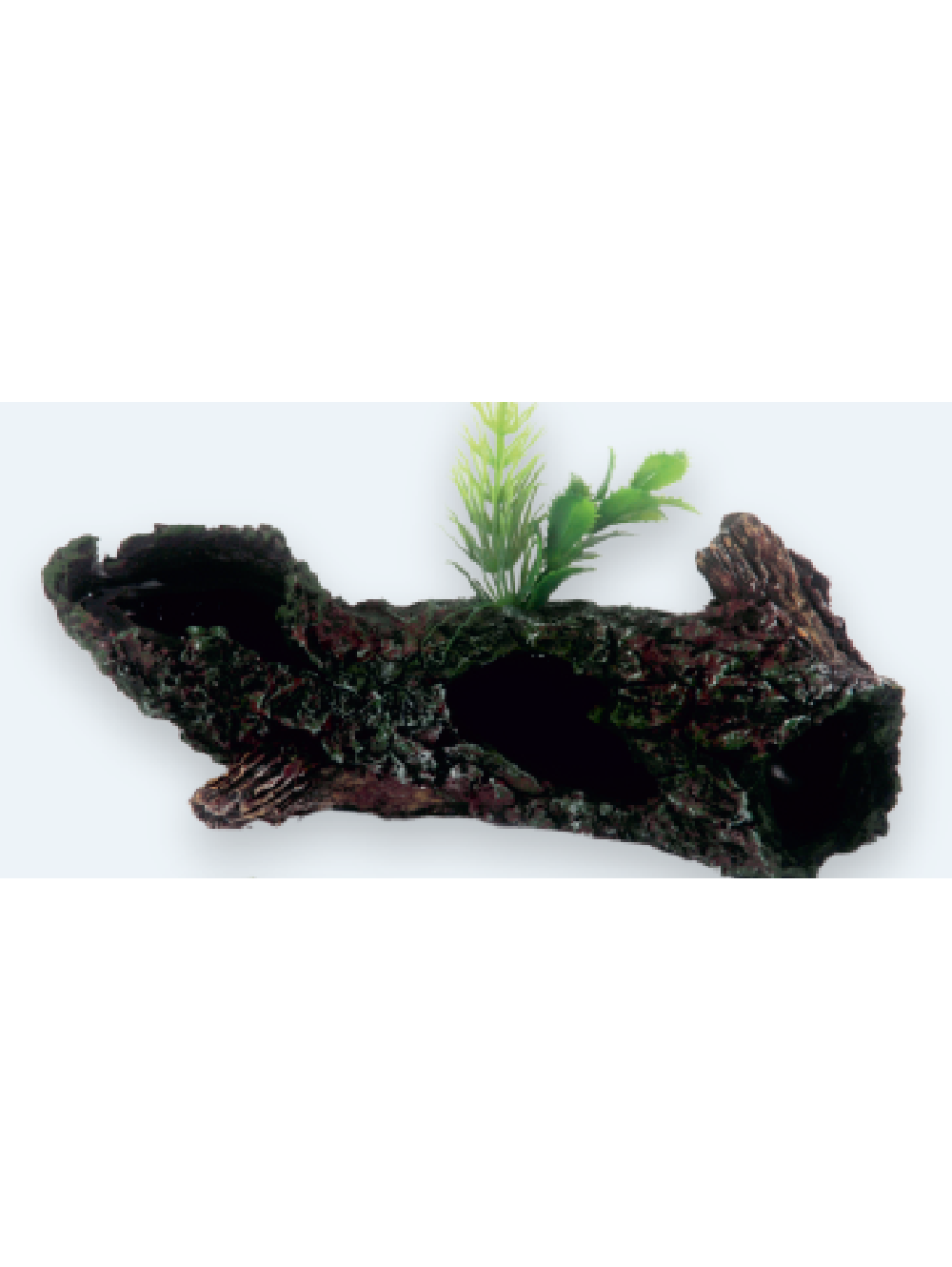 Tronco Furado com Planta (20x8x7,5cm)